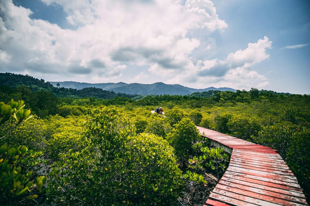 The Future of Lending in Thailand: Exploring Innovative Options with Investree Thailand and SCB X - Como solicitar empréstimo na Tailandia