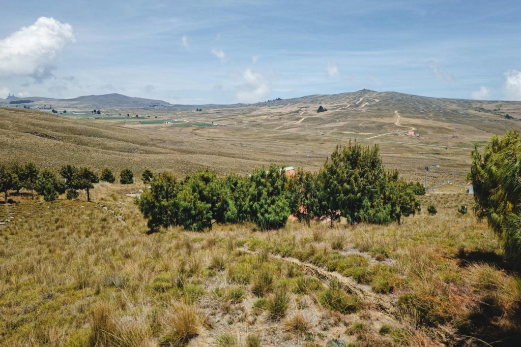 Navigating the Loan Landscape: Insights into Banco Santander and Caribe Federal Credit Union for Puerto Rican Residents - Como solicitar empréstimo no Porto rico