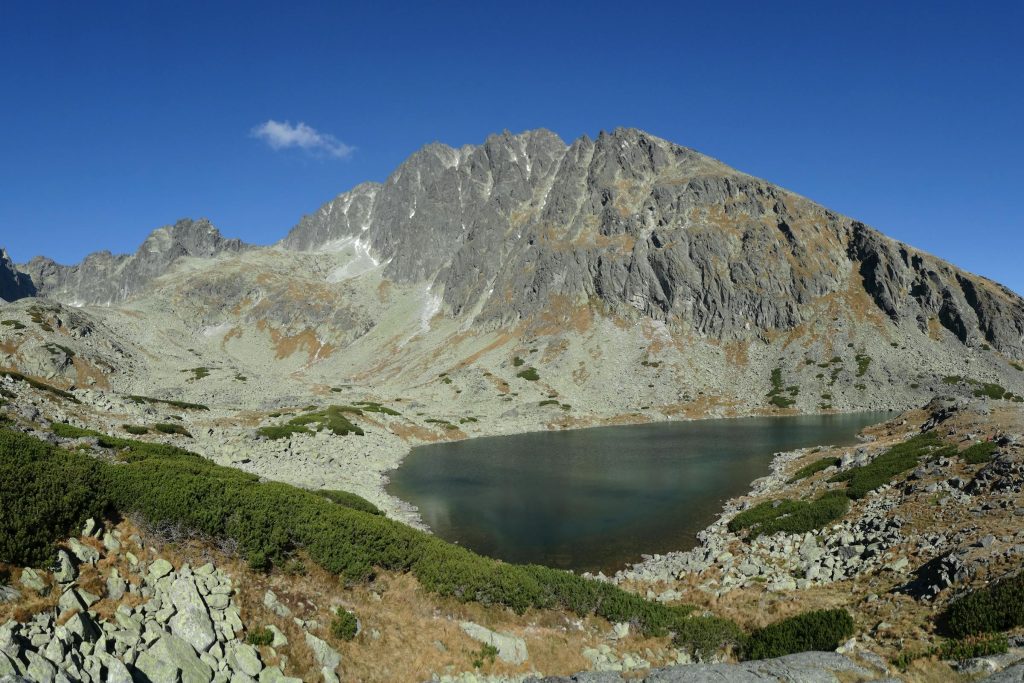 Navigating Slovakias Credit Card Landscape: What to Know About Tatra Banka, ČSOB Banka, and Emerging Players - Cartões de credito da Eslovaquia