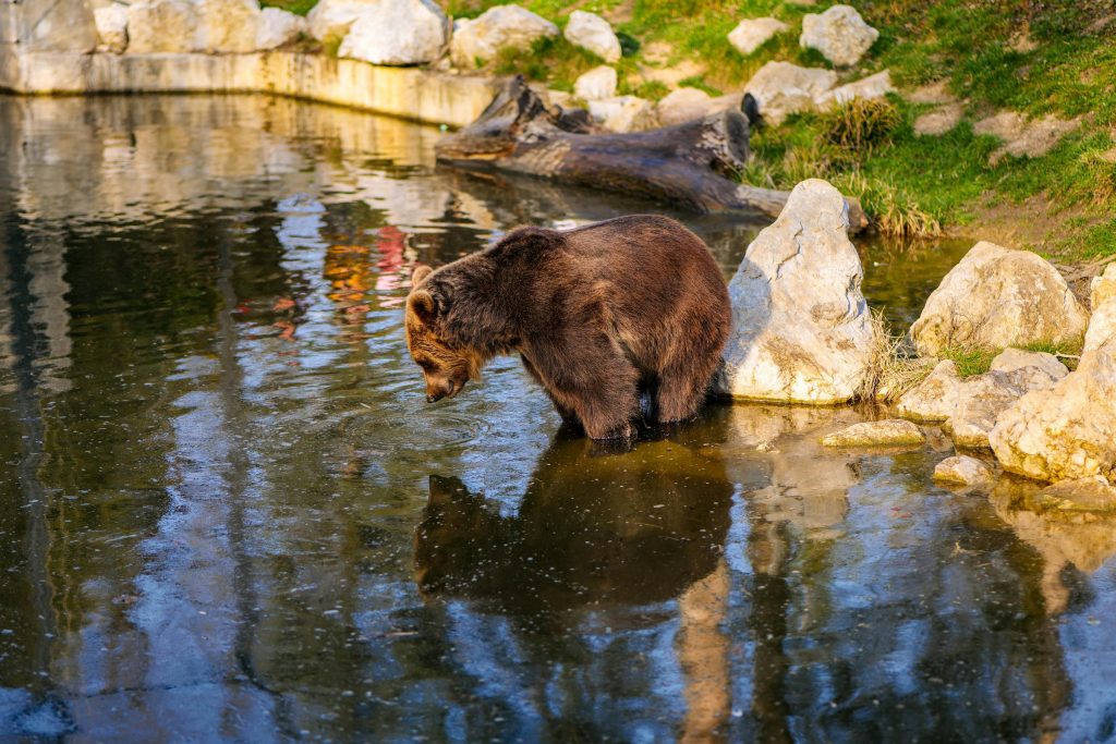 Maximizing Your Chances: Expert Tips for Securing a Loan through Privredna Banka Zagreb and Hrvatska Poštanska Banka - Como solicitar empréstimo na Croácia