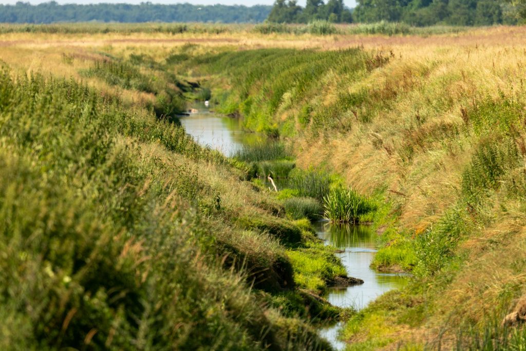 Navigating the Loan Landscape in Croatia: Insights from Zagrebačka, OTP, and Raiffeisenbank Hrvatska - Como solicitar empréstimo na Croácia