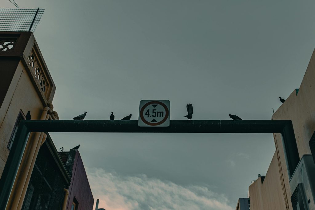 A Comprehensive Guide to Securing Loans from Leading Polish Financial Institutions - Como solicitar empréstimo na Polônia